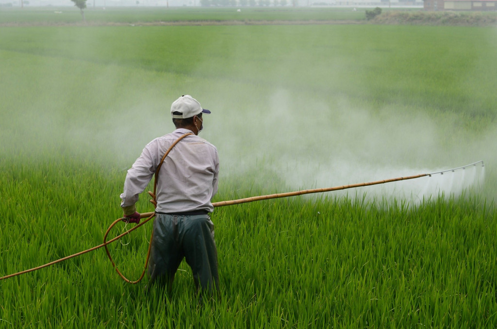 Les conséquences des pesticides sur l’apiculture