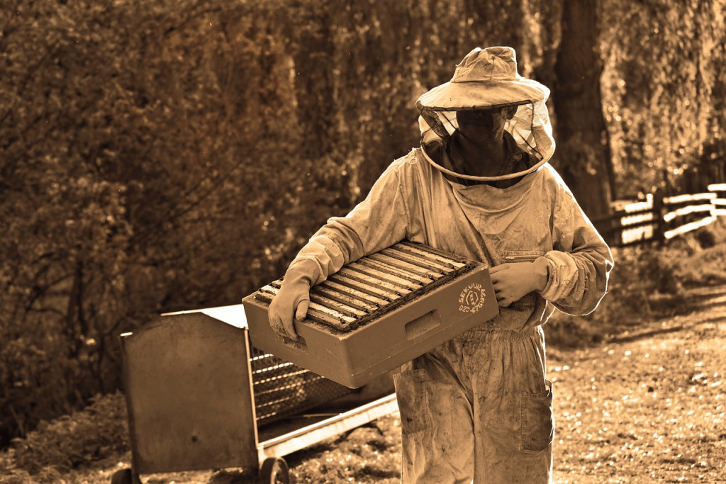 Les outils de l’apiculteur