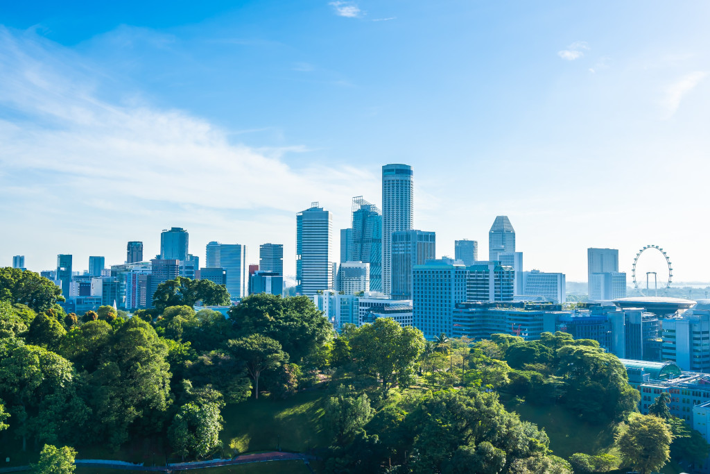 L'apiculture urbaine : une pratique à découvrir