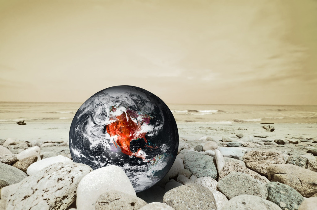 Impact des changements climatiques sur la production de miel en 2024