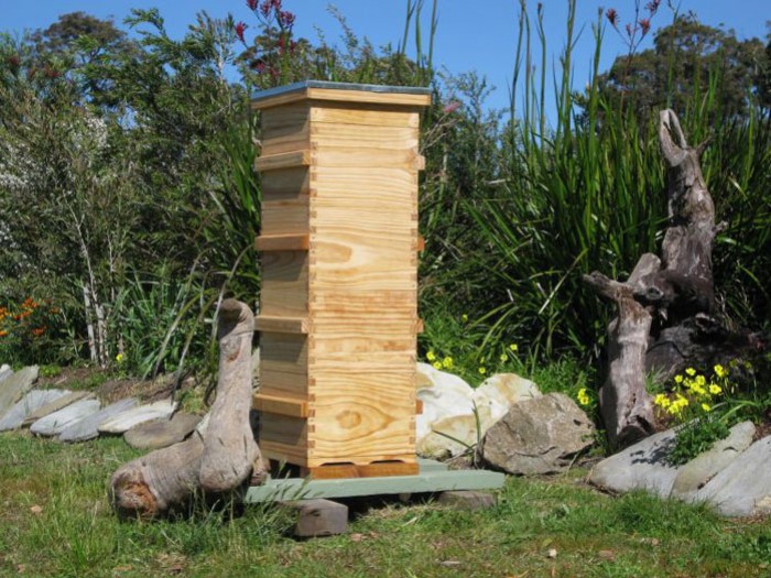 Le point sur la ruche Warré