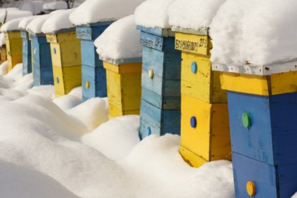 Réussir l'hivernage