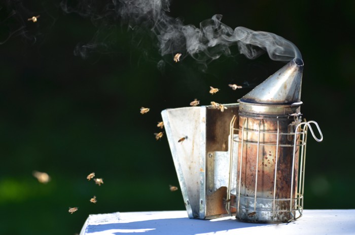 Le Matériau en Acier Inoxydable du Fumeur de Ruche Produit Beaucoup de  Fumée et éloigne Rapidement L'outil Accessoire D'apiculture au Miel