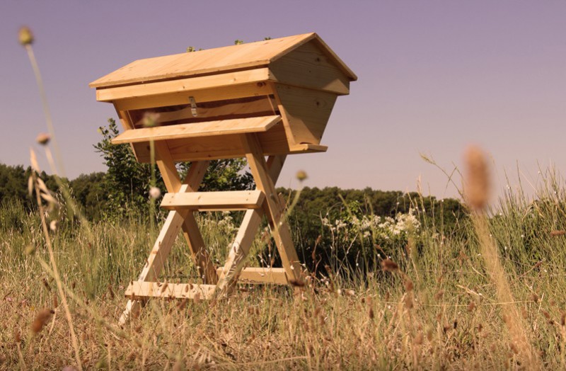 Quel modèle de ruche choisir pour débuter en apiculture ?