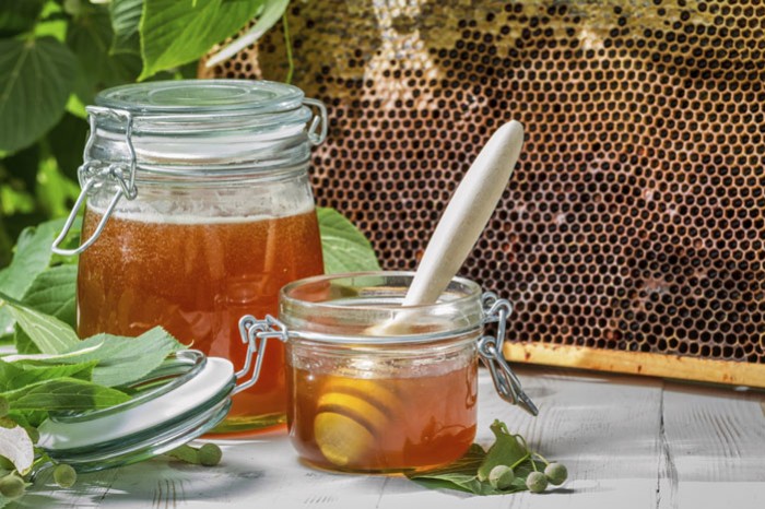 Comment bien utiliser son extracteur à miel ?
