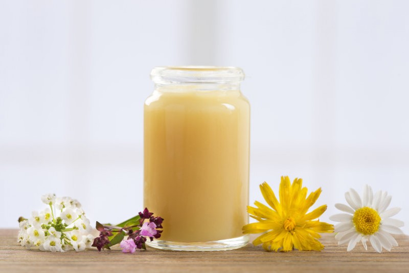 Tout savoir sur la gelée royale