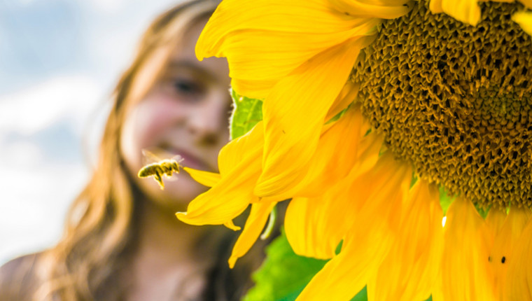 KEDGE’BEES, une association pour sauver les abeilles en milieu urbain