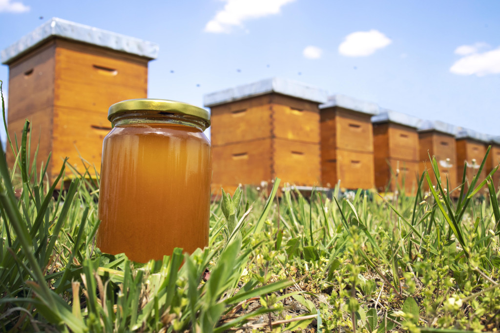 Les différentes méthodes de récolte de miel et leurs avantages