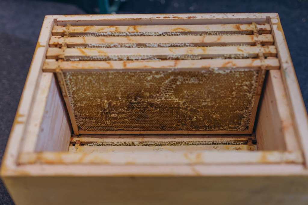 Que faire de ses hausses après la récolte ?