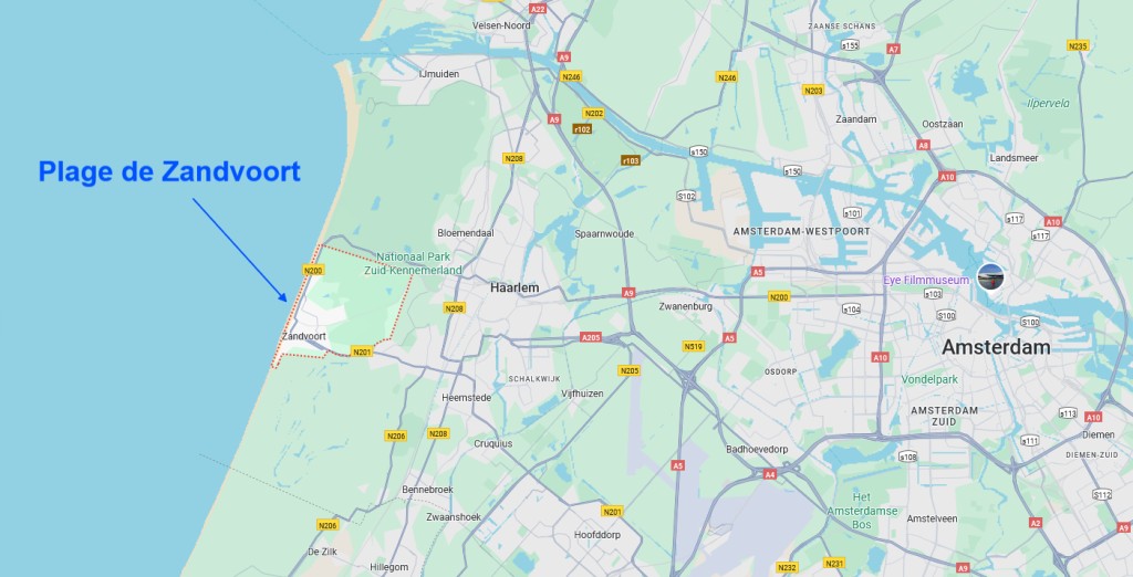 5 000 abeilles sous un parasol à Zandvoort : la plage surprise par un essaim