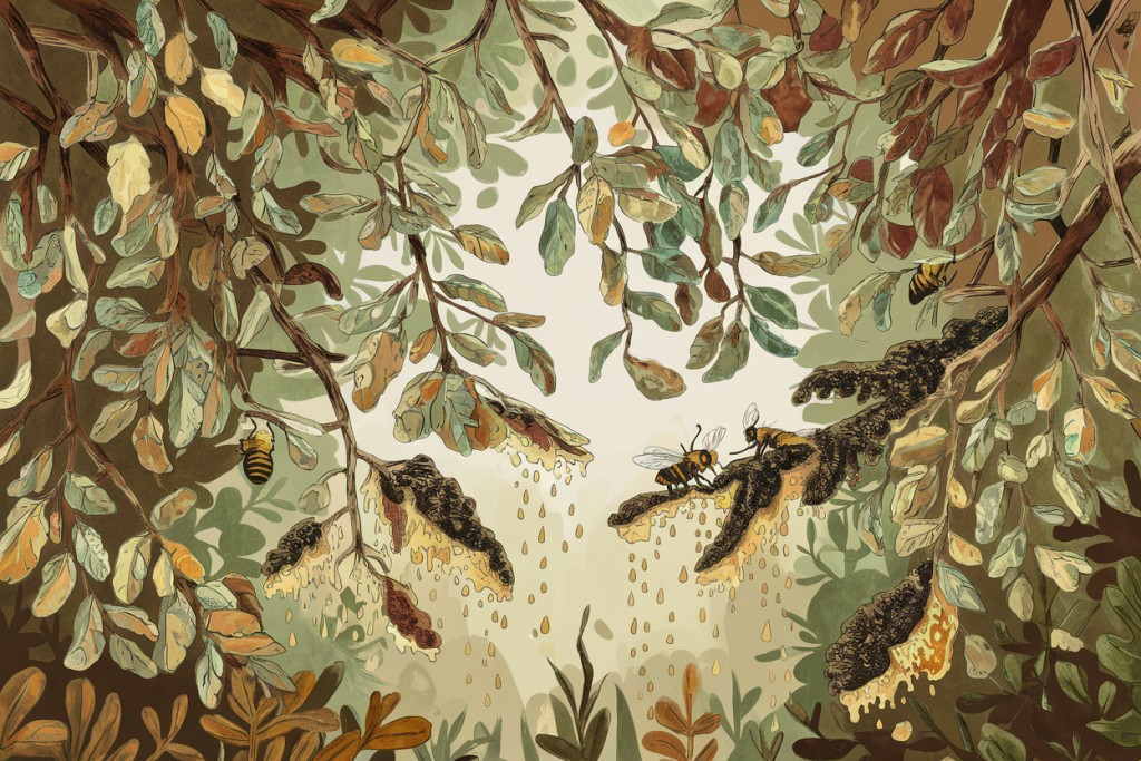 Tout savoir sur le miellat : de la goutte secrète au miel de forêt